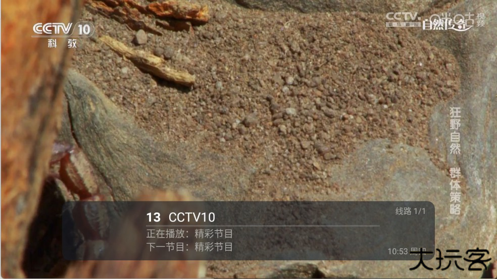 前缘TV