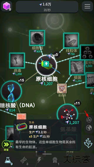 从细胞到奇点