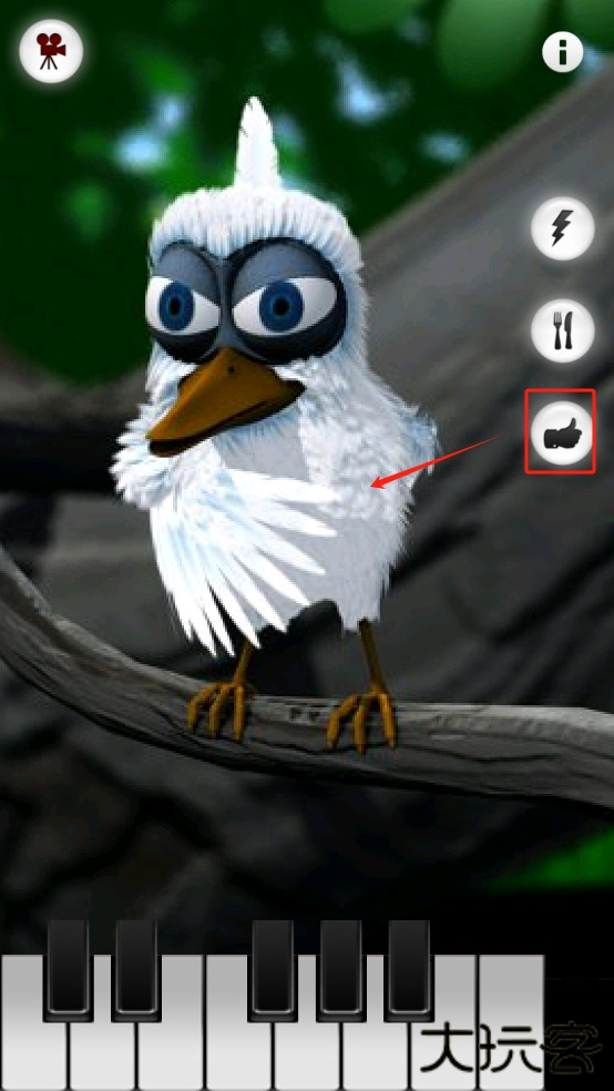 会说话的拉里鸟最新版