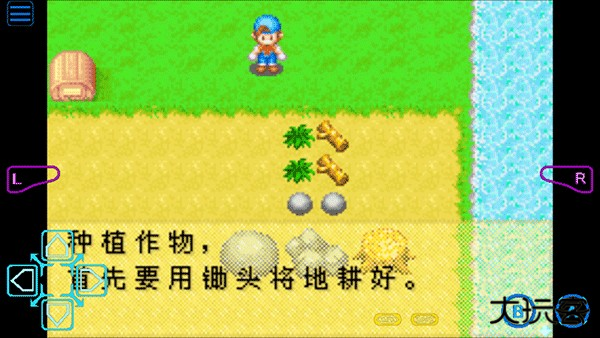 牧场物语矿石镇的伙伴们
