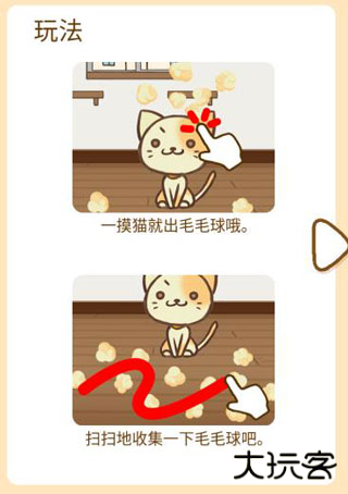 猫咪的毛