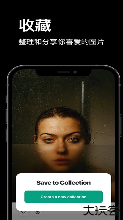 pexels安卓版2026最新版本v5.9.0