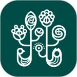 野兽派app官方版下载 v6.8.0安卓版