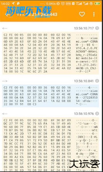 小黄鸟app免费版下载(Reqable)