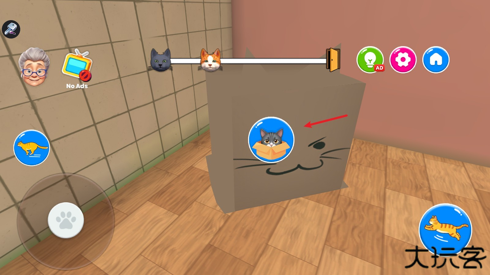 捣蛋猫和瞌睡奶奶的快乐生活