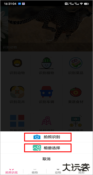拍照识花神器app