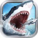 全民钓鱼最新版下载