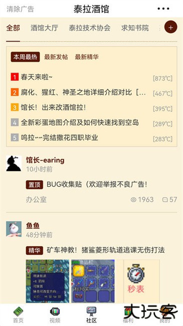 泰拉酒馆免费下载