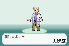 口袋妖怪火红版