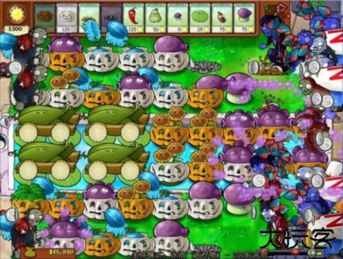 植物大战僵尸Online