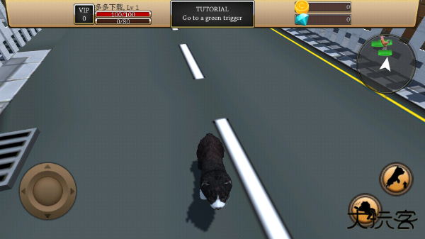 美国Zoom动物最新版下载