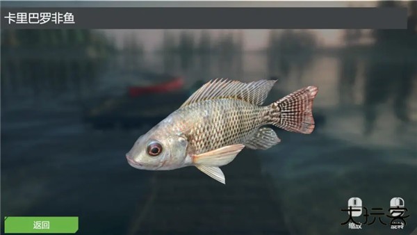 终极钓鱼模拟器无限金币版游戏攻略8