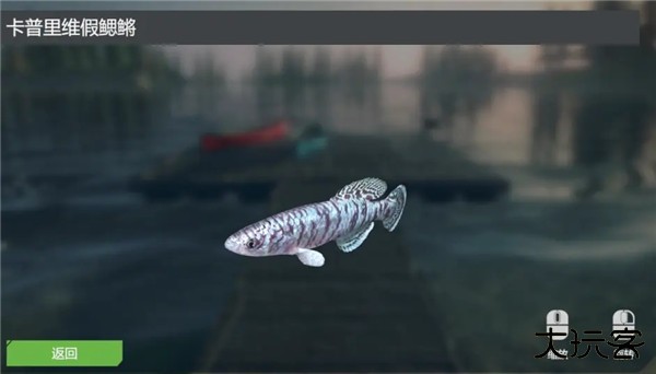 终极钓鱼模拟器无限金币版游戏攻略4