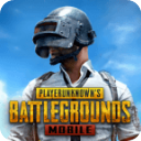 PubgMobile国际服下载