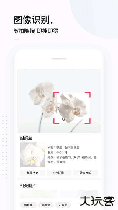 简单搜索免费下载