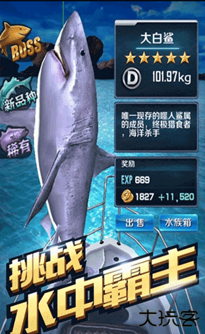 全民钓鱼最新版下载