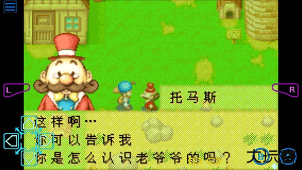 牧场物语矿石镇的伙伴们