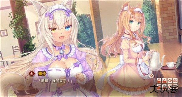 猫娘角色介绍2