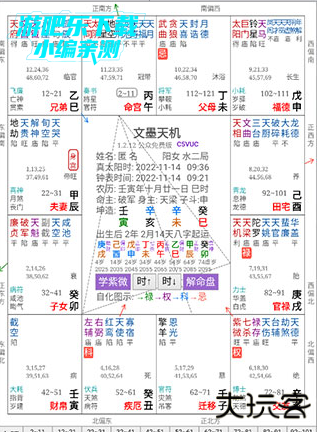 文墨天机专业版排盘