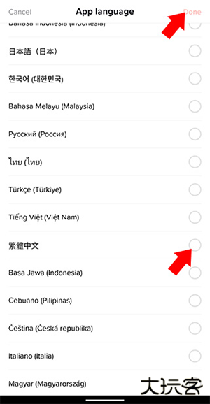 tiktok色板轻量版