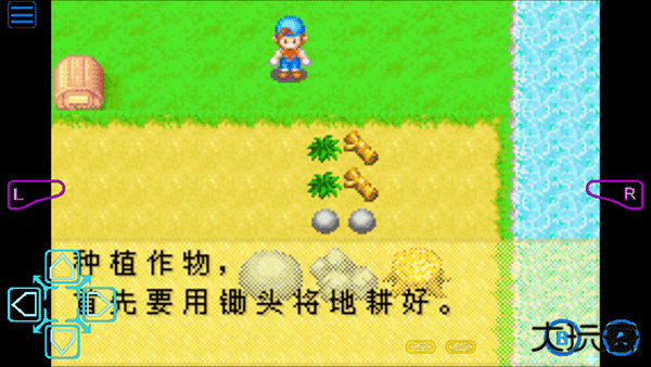 牧场物语矿石镇的伙伴们汉化版下载