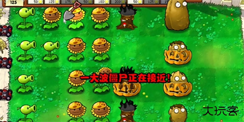 植物大战僵尸火影忍者版