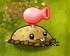 植物大战僵尸融合版2.3