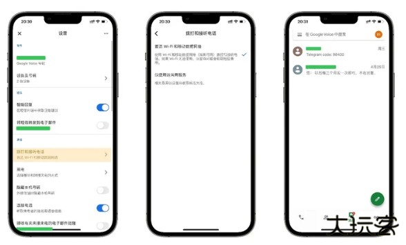 Google Voice使用说明图片5