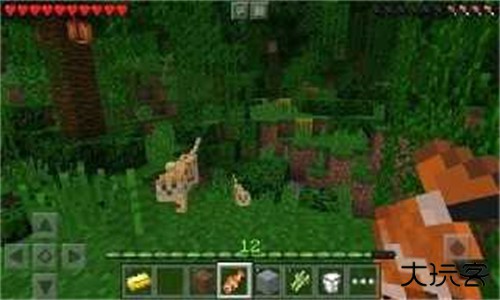 我的世界1.16国际版下载