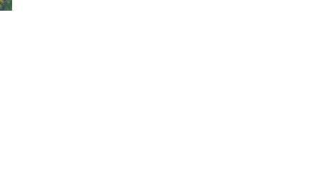 演员表截图2