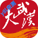 大武汉客户端下载