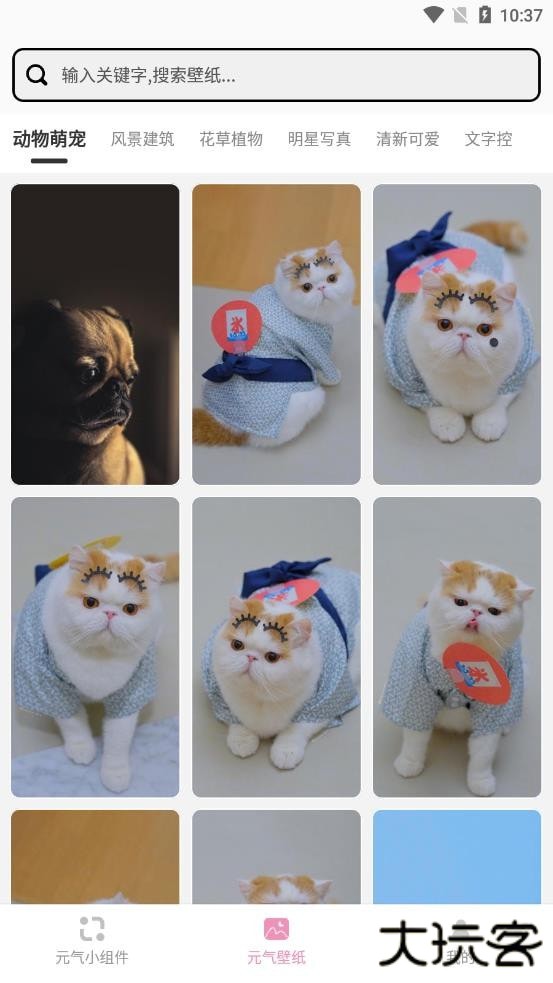 元气小组件下载安装最新版v1.9.9