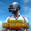 PUBG MOBILE(国际服)最新版下载
