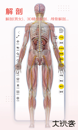 3dbody解剖安卓版
