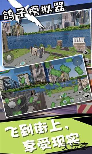 鸽子模拟器最新版下载