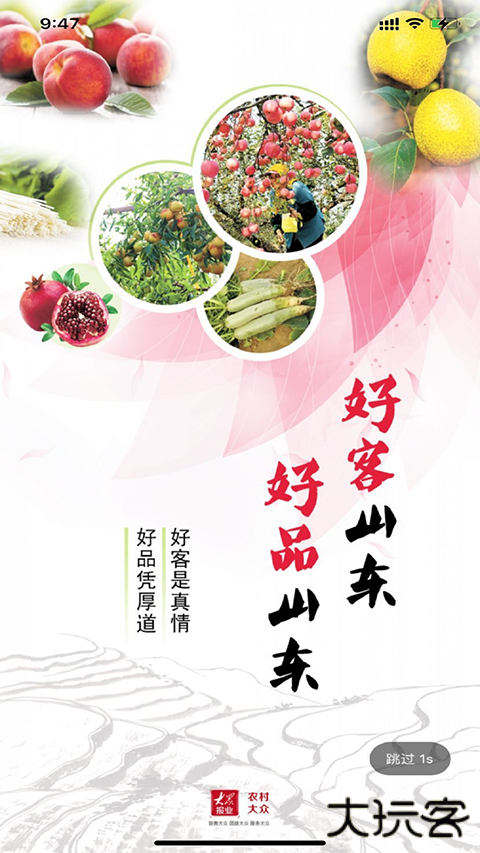 农村大众安卓版