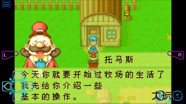 牧场物语矿石镇的伙伴们