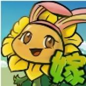 植物大战僵尸嫁接版下载