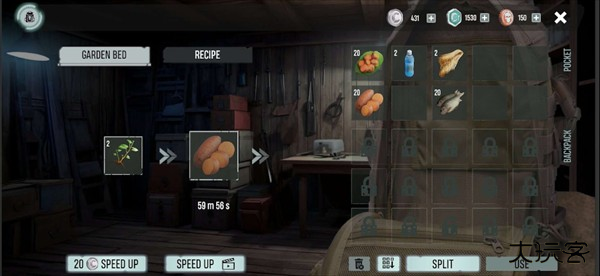 红薯2