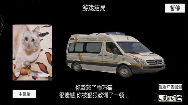 猫猫惊魂夜最新版下载