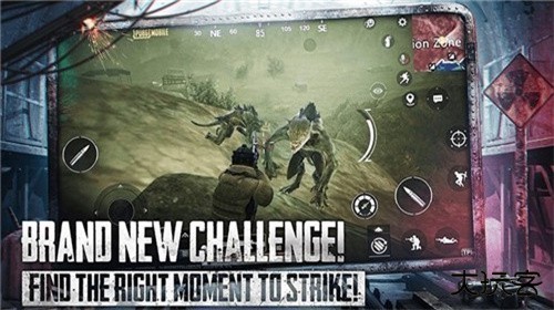 PubgMobile国际服下载