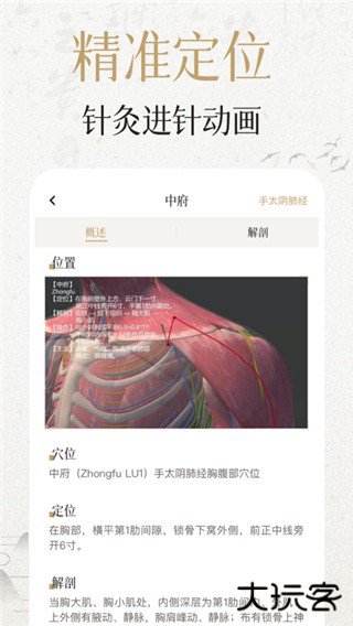 中济经络穴位安卓版