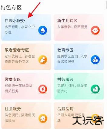 岳办岳好app