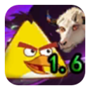 我的鸟随机最新版下载