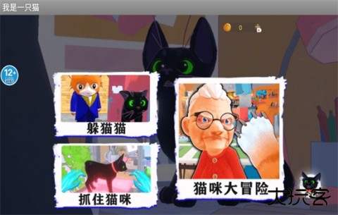 我是一只猫