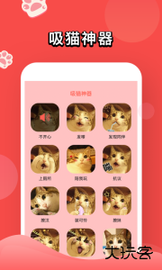 人猫交流器官方版免费下载 v6.14.2024025415安卓版