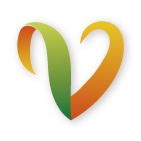 羊城通2026最新版