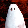 Paranormal最新版下载