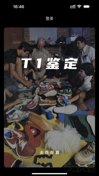 T1鉴定免费下载