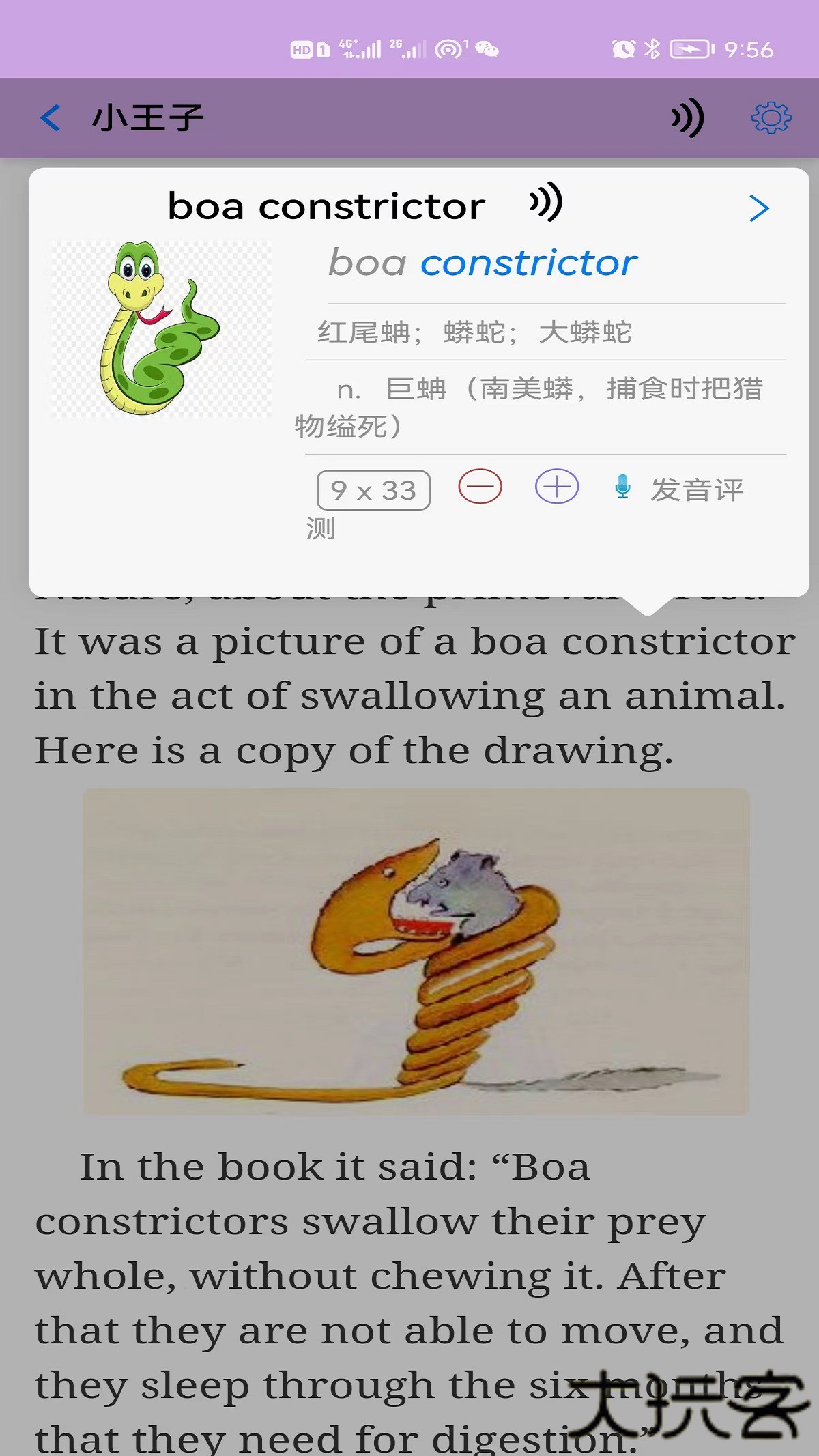 英语帮app手机版